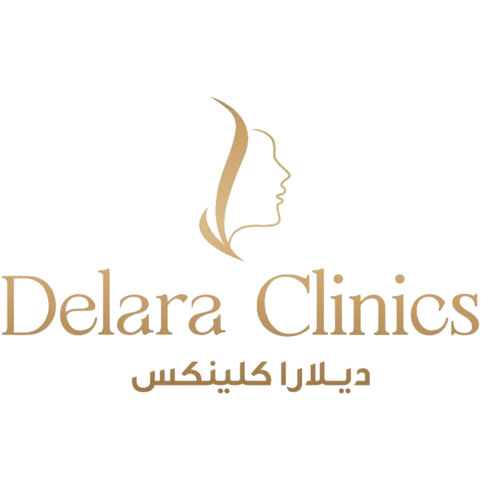 Enfield Royal Saudia